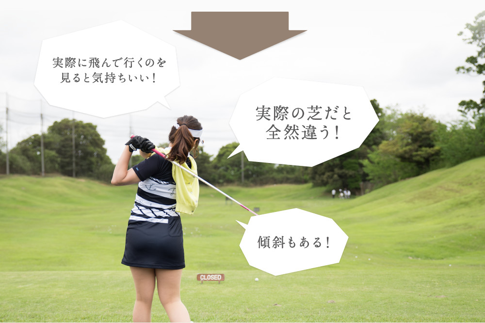 実際の芝だと全然違う
