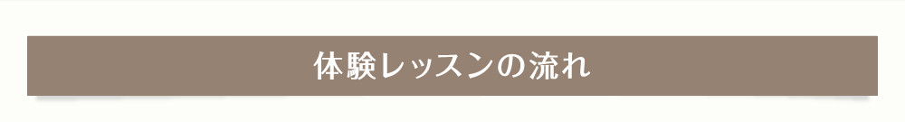 体験レッスンの流れ